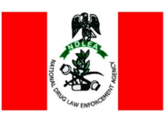 NDLEA recruitment Portal: Registration