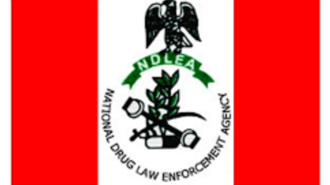NDLEA recruitment Portal: Registration